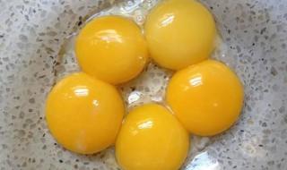 猫能吃卤蛋蛋黄吗 猫能吃鸡蛋白吗